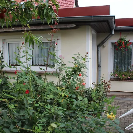 Poggendorf *